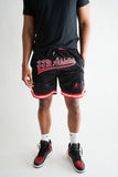 SSM Athletics Satin Varsity Shorts