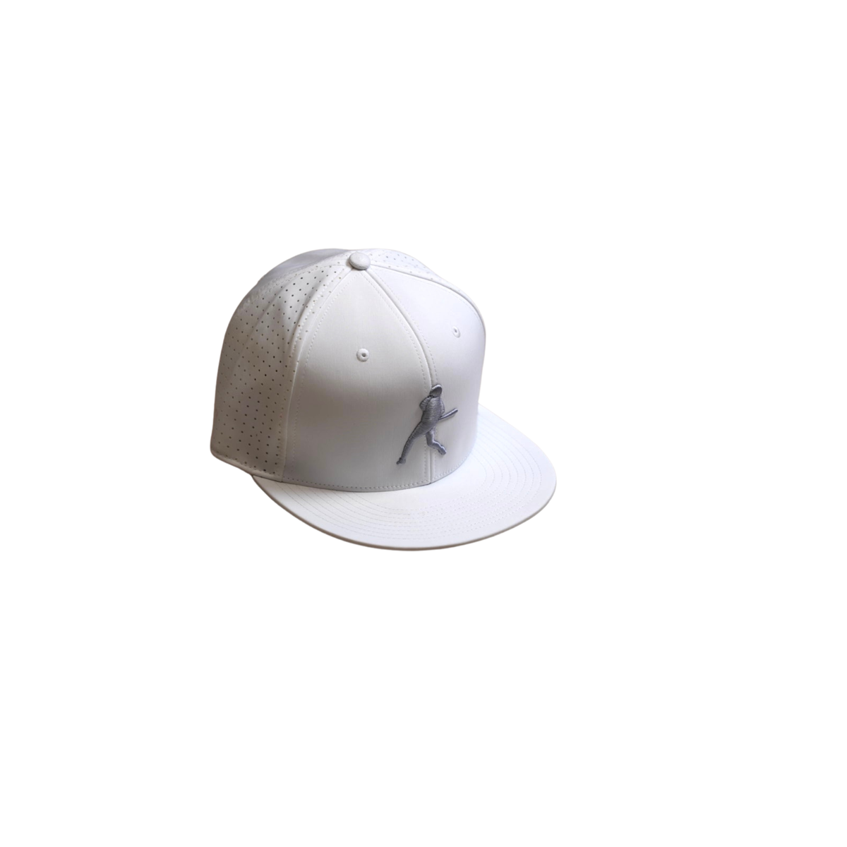 AP Game Day Hat